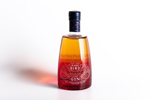 Rare Bird Rhubarb & Ginger Gin 42% ABV